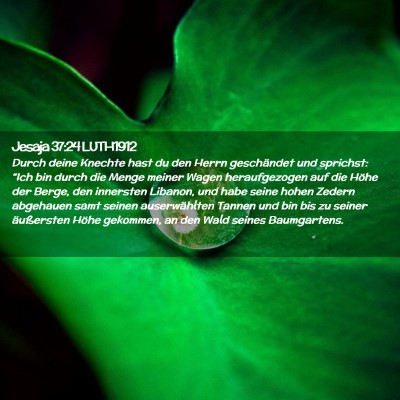 Picture 02 - Jesaja 37:24 LUTH1912 - Durch deine Knechte hast du den Herrn geschändet - Bible Verse Picture