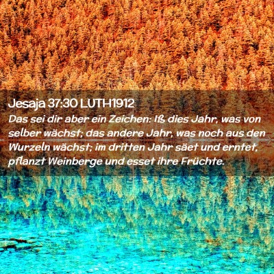 Picture 02 - Jesaja 37:30 LUTH1912 - Das sei dir aber ein Zeichen: Iß dies Jahr, was - Bible Verse Picture