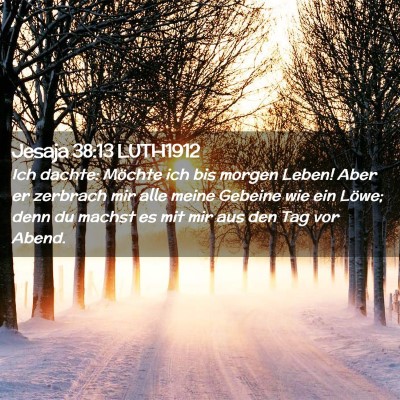 Picture 02 - Jesaja 38:13 LUTH1912 - Ich dachte: Möchte ich bis morgen Leben! Aber er - Bible Verse Picture