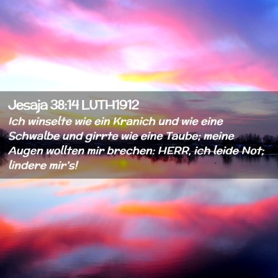 Picture 02 - Jesaja 38:14 LUTH1912 - Ich winselte wie ein Kranich und wie eine - Bible Verse Picture