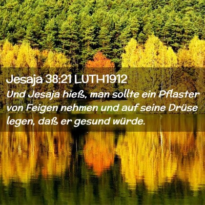Picture 02 - Jesaja 38:21 LUTH1912 - Und Jesaja hieß, man sollte ein Pflaster von - Bible Verse Picture