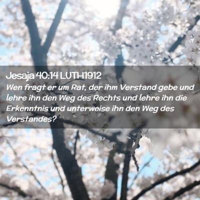Picture 02 - Jesaja 40:14 LUTH1912 - Wen fragt er um Rat, der ihm Verstand gebe und - Bible Verse Picture