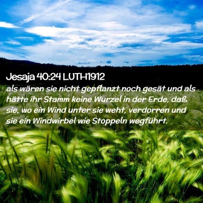 Picture 02 - Jesaja 40:24 LUTH1912 - als wären sie nicht gepflanzt noch gesät und - Bible Verse Picture