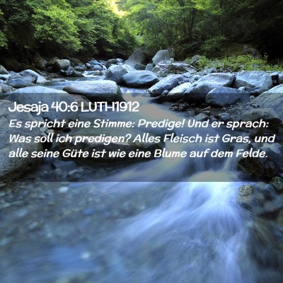 Picture 02 - Jesaja 40:6 LUTH1912 - Es spricht eine Stimme: Predige! Und er sprach: - Bible Verse Picture