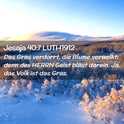 Picture 02 - Jesaja 40:7 LUTH1912 - Das Gras verdorrt, die Blume verwelkt; denn des - Bible Verse Picture