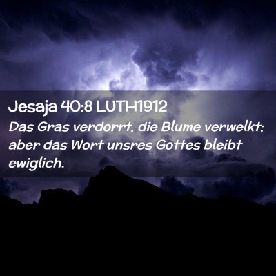 Picture 02 - Jesaja 40:8 LUTH1912 - Das Gras verdorrt, die Blume verwelkt; aber das - Bible Verse Picture
