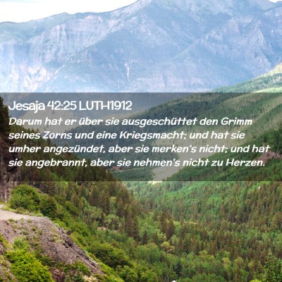 Picture 02 - Jesaja 42:25 LUTH1912 - Darum hat er über sie ausgeschüttet den Grimm - Bible Verse Picture