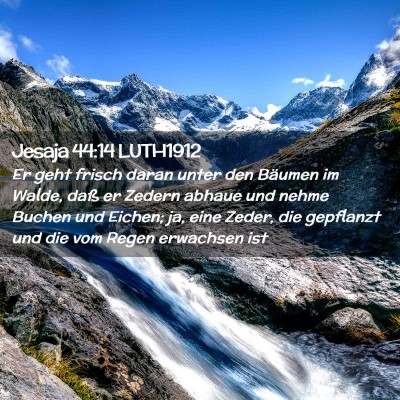 Picture 02 - Jesaja 44:14 LUTH1912 - Er geht frisch daran unter den Bäumen im Walde, - Bible Verse Picture