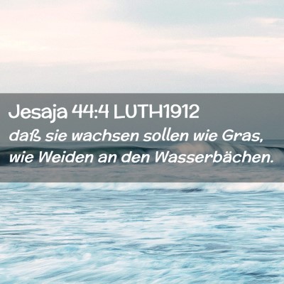 Picture 02 - Jesaja 44:4 LUTH1912 - daß sie wachsen sollen wie Gras, wie Weiden an - Bible Verse Picture