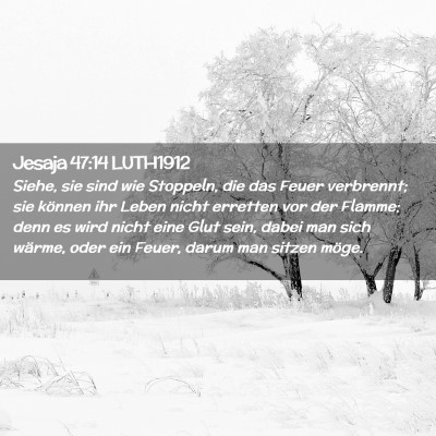 Picture 02 - Jesaja 47:14 LUTH1912 - Siehe, sie sind wie Stoppeln, die das Feuer - Bible Verse Picture