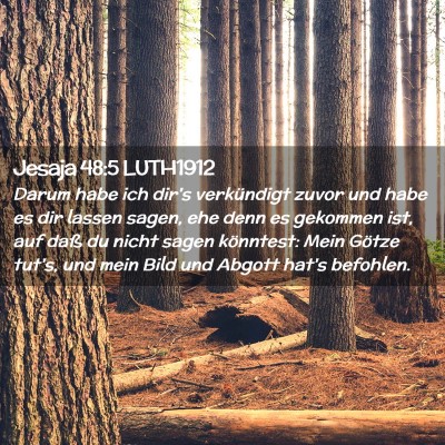 Picture 02 - Jesaja 48:5 LUTH1912 - Darum habe ich dir's verkündigt zuvor und habe - Bible Verse Picture