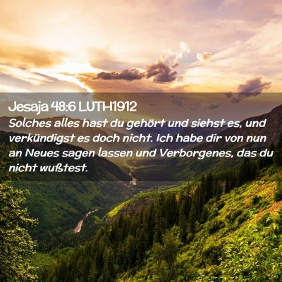 Picture 02 - Jesaja 48:6 LUTH1912 - Solches alles hast du gehört und siehst es, und - Bible Verse Picture