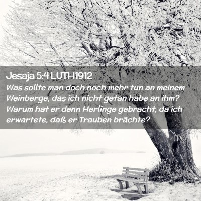 Picture 02 - Jesaja 5:4 LUTH1912 - Was sollte man doch noch mehr tun an meinem - Bible Verse Picture