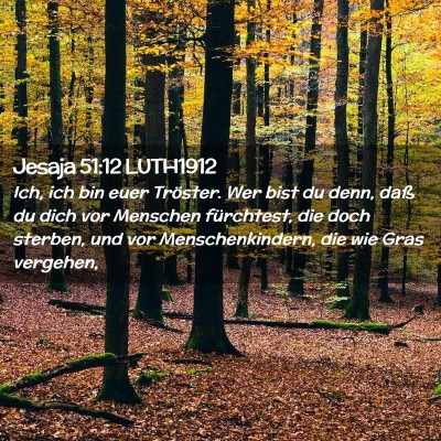 Picture 02 - Jesaja 51:12 LUTH1912 - Ich, ich bin euer Tröster. Wer bist du denn, - Bible Verse Picture