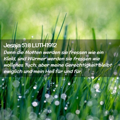 Picture 02 - Jesaja 51:8 LUTH1912 - Denn die Motten werden sie fressen wie ein Kleid, - Bible Verse Picture