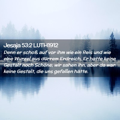 Picture 02 - Jesaja 53:2 LUTH1912 - Denn er schoß auf vor ihm wie ein Reis und wie - Bible Verse Picture