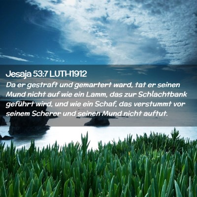 Picture 02 - Jesaja 53:7 LUTH1912 - Da er gestraft und gemartert ward, tat er seinen - Bible Verse Picture