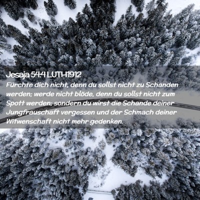 Picture 02 - Jesaja 54:4 LUTH1912 - Fürchte dich nicht, denn du sollst nicht zu - Bible Verse Picture