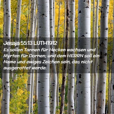 Picture 02 - Jesaja 55:13 LUTH1912 - Es sollen Tannen für Hecken wachsen und Myrten - Bible Verse Picture