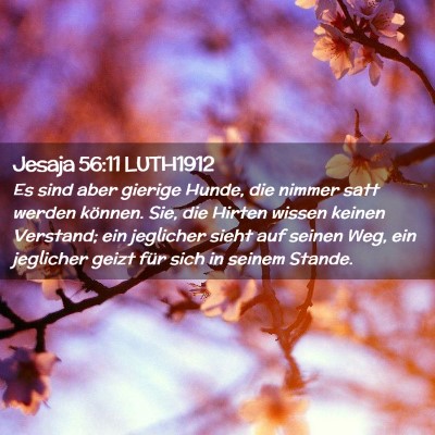 Picture 02 - Jesaja 56:11 LUTH1912 - Es sind aber gierige Hunde, die nimmer satt - Bible Verse Picture