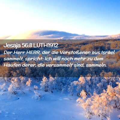 Picture 02 - Jesaja 56:8 LUTH1912 - Der Herr HERR, der die Verstoßenen aus Israel - Bible Verse Picture