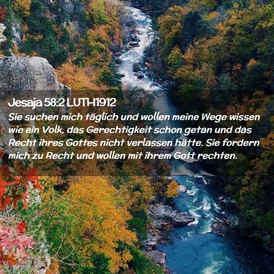 Picture 02 - Jesaja 58:2 LUTH1912 - Sie suchen mich täglich und wollen meine Wege - Bible Verse Picture