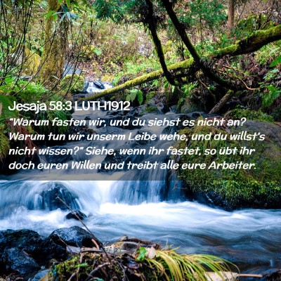 Picture 02 - Jesaja 58:3 LUTH1912 - “Warum fasten wir, und du siehst es nicht an? - Bible Verse Picture