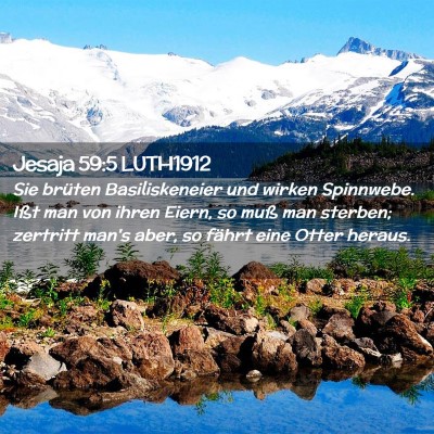 Picture 02 - Jesaja 59:5 LUTH1912 - Sie brüten Basiliskeneier und wirken Spinnwebe. - Bible Verse Picture