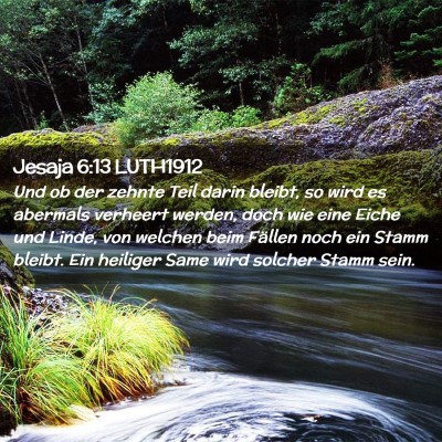 Picture 02 - Jesaja 6:13 LUTH1912 - Und ob der zehnte Teil darin bleibt, so wird es - Bible Verse Picture
