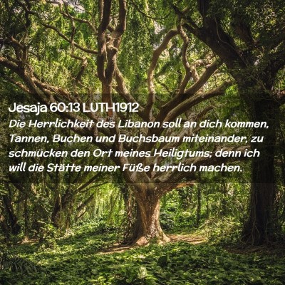 Picture 02 - Jesaja 60:13 LUTH1912 - Die Herrlichkeit des Libanon soll an dich kommen, - Bible Verse Picture