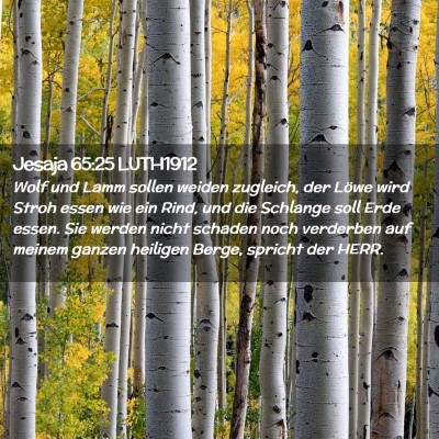 Picture 02 - Jesaja 65:25 LUTH1912 - Wolf und Lamm sollen weiden zugleich, der Löwe - Bible Verse Picture