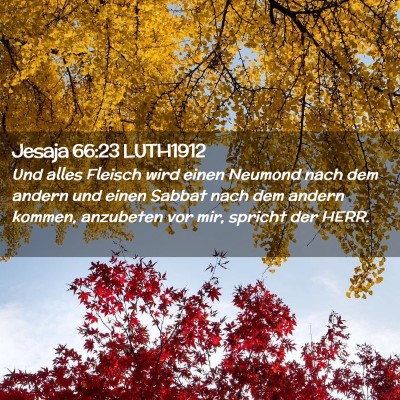 Picture 02 - Jesaja 66:23 LUTH1912 - Und alles Fleisch wird einen Neumond nach dem - Bible Verse Picture