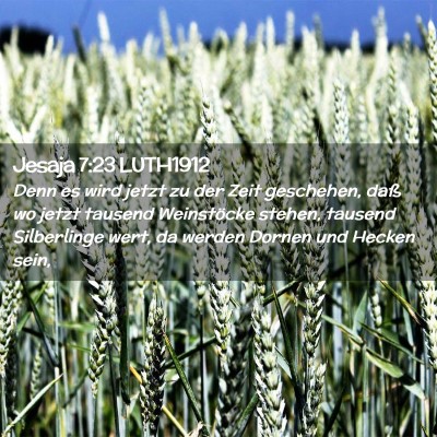 Picture 02 - Jesaja 7:23 LUTH1912 - Denn es wird jetzt zu der Zeit geschehen, daß wo - Bible Verse Picture