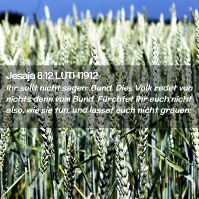 Picture 02 - Jesaja 8:12 LUTH1912 - Ihr sollt nicht sagen: Bund. Dies Volk redet von - Bible Verse Picture