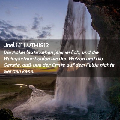 Picture 02 - Joel 1:11 LUTH1912 - Die Ackerleute sehen jämmerlich, und die - Bible Verse Picture