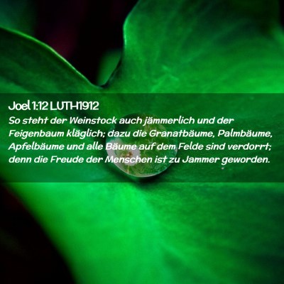 Picture 02 - Joel 1:12 LUTH1912 - So steht der Weinstock auch jämmerlich und der - Bible Verse Picture