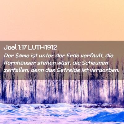 Picture 02 - Joel 1:17 LUTH1912 - Der Same ist unter der Erde verfault, die - Bible Verse Picture