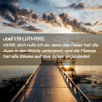 Picture 02 - Joel 1:19 LUTH1912 - HERR, dich rufe ich an; denn das Feuer hat die - Bible Verse Picture