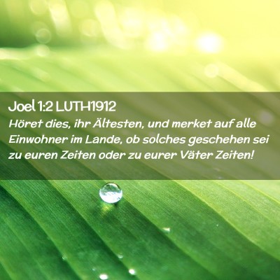 Picture 02 - Joel 1:2 LUTH1912 - Höret dies, ihr Ältesten, und merket auf alle - Bible Verse Picture