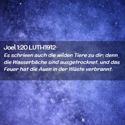 Picture 02 - Joel 1:20 LUTH1912 - Es schrieen auch die wilden Tiere zu dir; denn - Bible Verse Picture