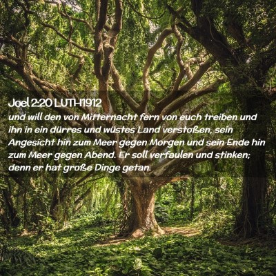 Picture 02 - Joel 2:20 LUTH1912 - und will den von Mitternacht fern von euch - Bible Verse Picture