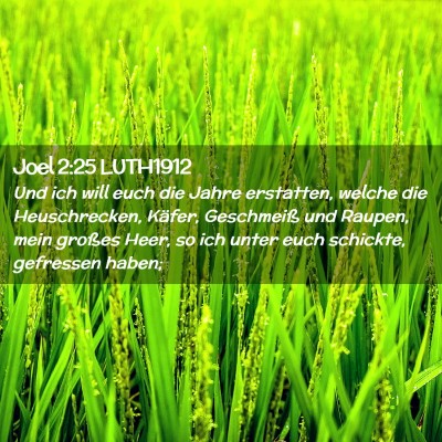 Picture 02 - Joel 2:25 LUTH1912 - Und ich will euch die Jahre erstatten, welche die - Bible Verse Picture