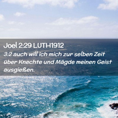 Picture 02 - Joel 2:29 LUTH1912 - 3:2 auch will ich mich zur selben Zeit über - Bible Verse Picture