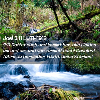 Picture 02 - Joel 3:11 LUTH1912 - 4:11 Rottet euch und kommt her, alle Heiden um - Bible Verse Picture