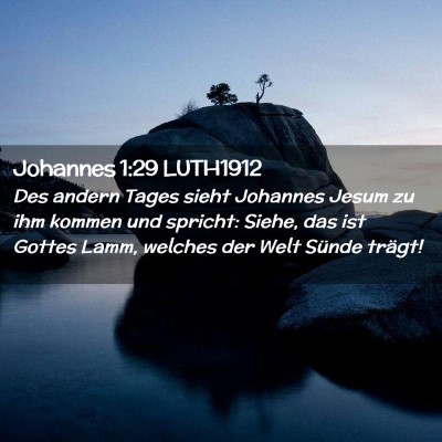 Picture 02 - Johannes 1:29 LUTH1912 - Des andern Tages sieht Johannes Jesum zu ihm - Bible Verse Picture