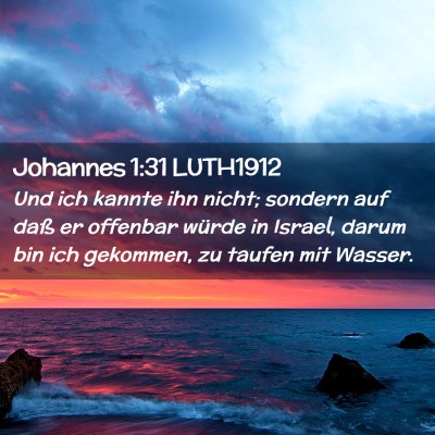 Picture 02 - Johannes 1:31 LUTH1912 - Und ich kannte ihn nicht; sondern auf daß er - Bible Verse Picture
