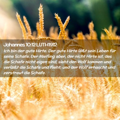 Picture 02 - Johannes 10:12 LUTH1912 - Ich bin der gute Hirte. Der gute Hirte läßt - Bible Verse Picture