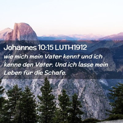 Picture 02 - Johannes 10:15 LUTH1912 - wie mich mein Vater kennt und ich kenne den - Bible Verse Picture