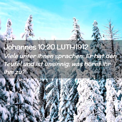 Picture 02 - Johannes 10:20 LUTH1912 - Viele unter ihnen sprachen: Er hat den Teufel und - Bible Verse Picture