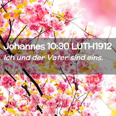 Picture 02 - Johannes 10:30 LUTH1912 - Ich und der Vater sind - Bible Verse Picture